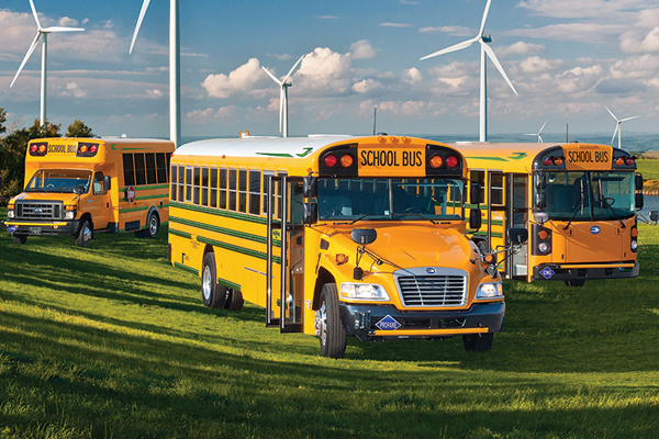 Bluebird Bus Fleet in a Field