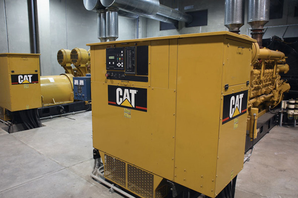 Cat Generators