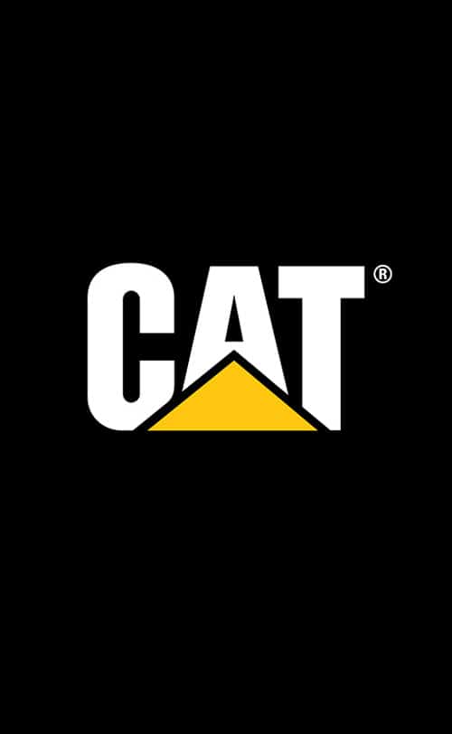 Generic Cat Logo Image Tile