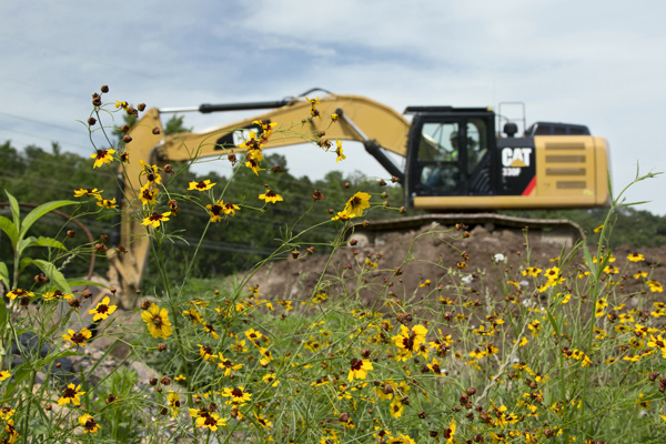 excavator in wildflower field