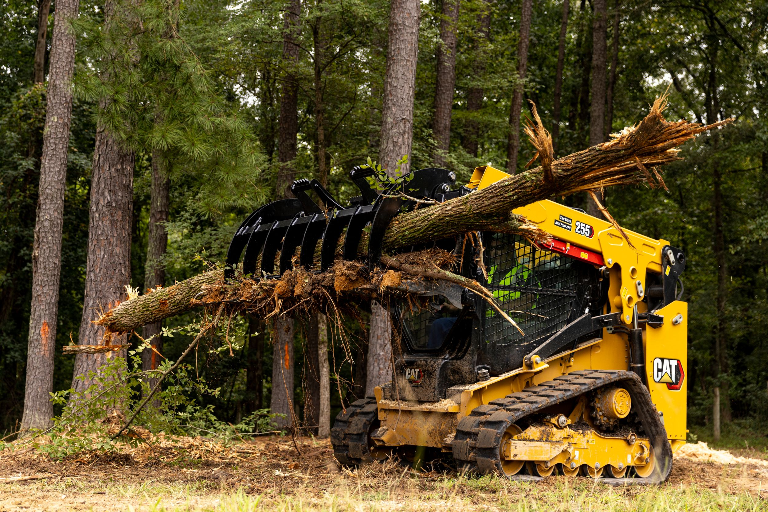 Mini Excavator grabbing tree trunk